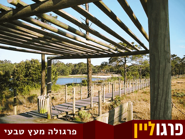 פרגולת עץ טבעי פרגולה מעץ טבעי